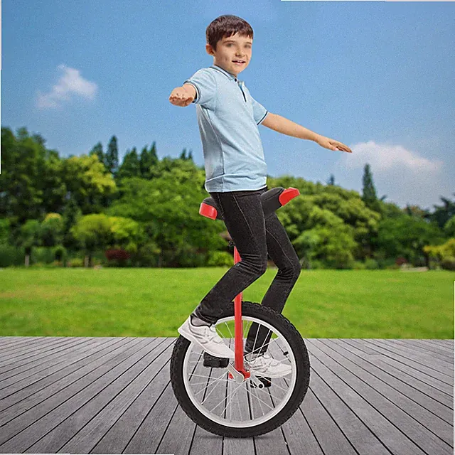 45 lb Unicycle