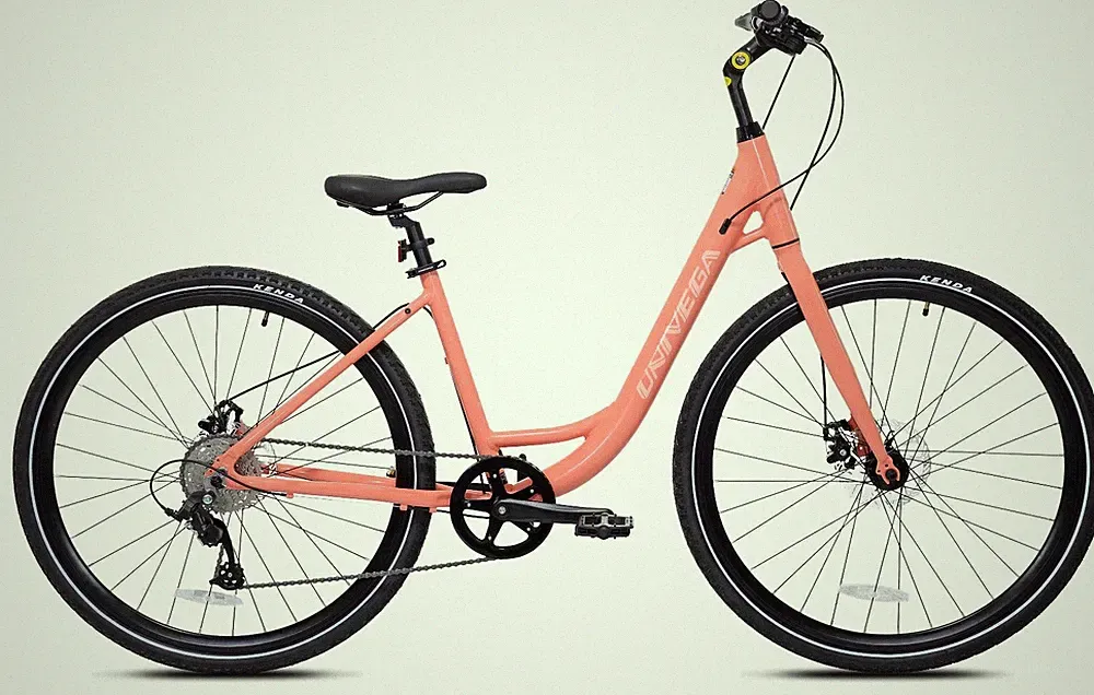 45 lb Comfort Bike