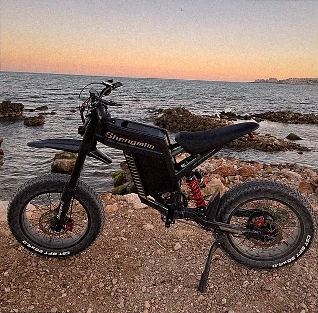 Ebike 20" Fat Tire Electric Bike 60V 1500W Powerful E-Motorcycle for Adventures