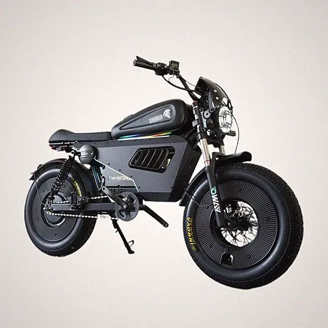 OWAYEBIKE SK-1 Ultra 20*5" Fat tire Electric Motorcycle 60V 45AH Electric Bike